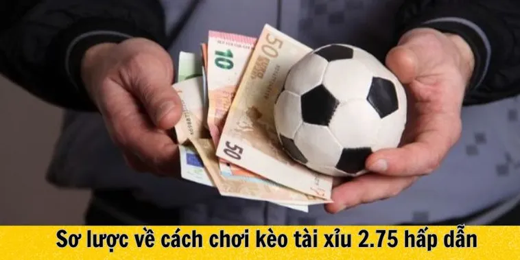 Cách Chơi Kèo 2.75 Trong Bóng Đá Mang Lại Hiệu Quả Tối Đa