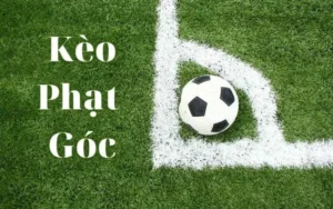 Tìm Hiểu Cách Cập Nhật Kèo Phạt Góc Bóng Đá Chính Xác Nhất Hiện Nay