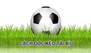 Cách Chơi Kèo Tài Xỉu Đỉnh Cao Giúp Tăng Tỷ Lệ Thắng
