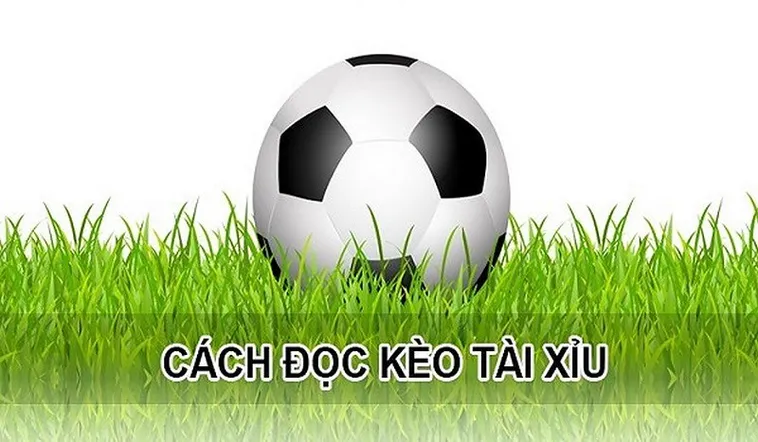 Cách Chơi Kèo Tài Xỉu Đỉnh Cao Giúp Tăng Tỷ Lệ Thắng