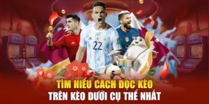 Cách Phân Biệt Kèo Trên Kèo Dưới Để Luôn Giành Lợi Thế