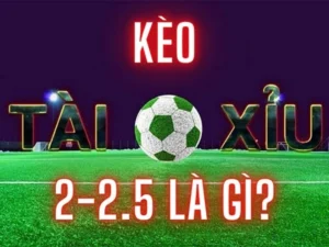 Phân Tích Kèo 2.25 Và Cách Đọc Tỷ Lệ Tài Xỉu Chính Xác Cho Người Mới
