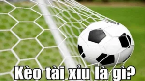 Chiến Thuật Theo Dõi Kèo Tài Xỉu Bóng Đá Để Hiểu Rõ Diễn Biến Trận Đấu
